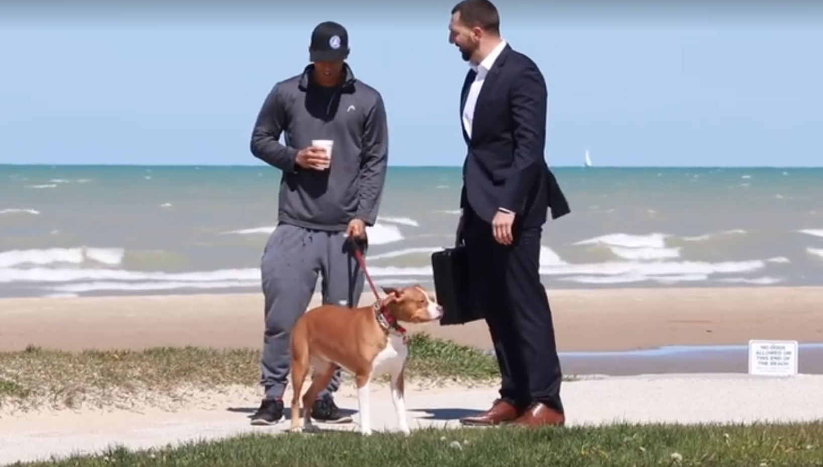 Banii nu cumpara totul! Experiment social inedit: un barbat a oferit 100.000 pe loc pentru un caine. Raspunsul proprietarilor