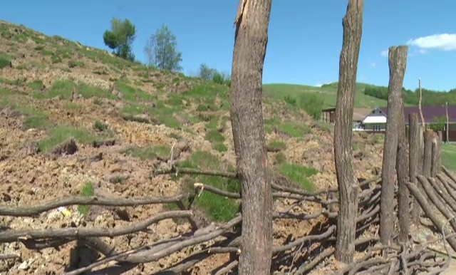 Localnicii dintr-un sat vasluian se tem ca alunecarile de teren le vor inghiti casele. Gardul de protectie a cedat deja