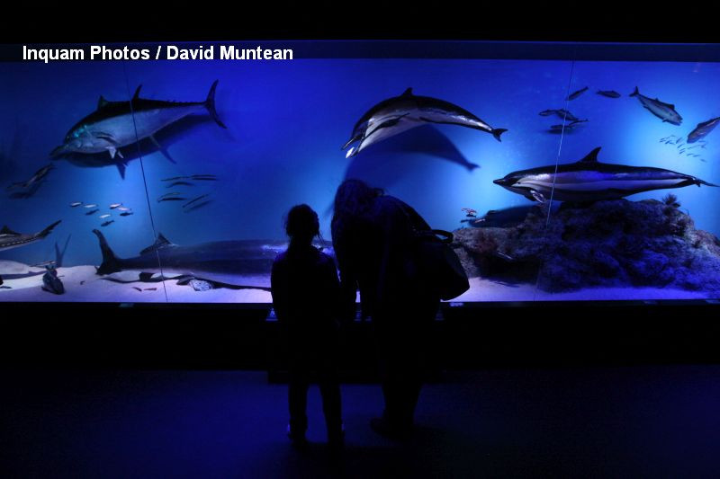 Noaptea Muzeelor 2017. Institutia care a anuntat ca va lasa 10 persoane sa innopteze in cladire