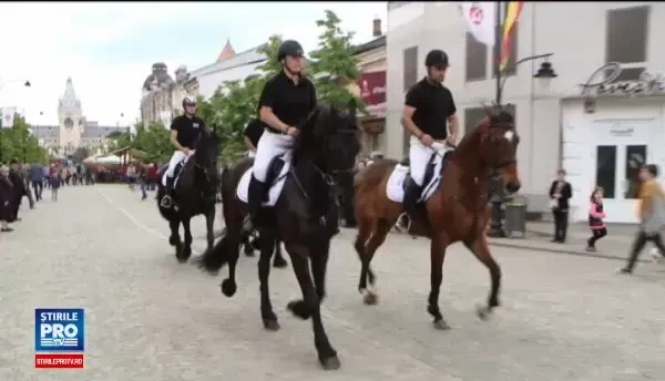 Agentii de la Politia Locala din Cluj si Iasi nu vor mai patrula pe jos. Caii si segway, noile mijloace de transport
