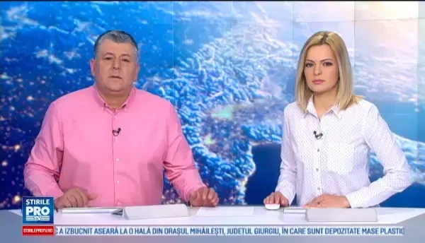 Un Bichon a fost atacat de un pitbull, sub privirile stapanilor lor. Totul s-a intamplat pe o strada din Targoviste. VIDEO