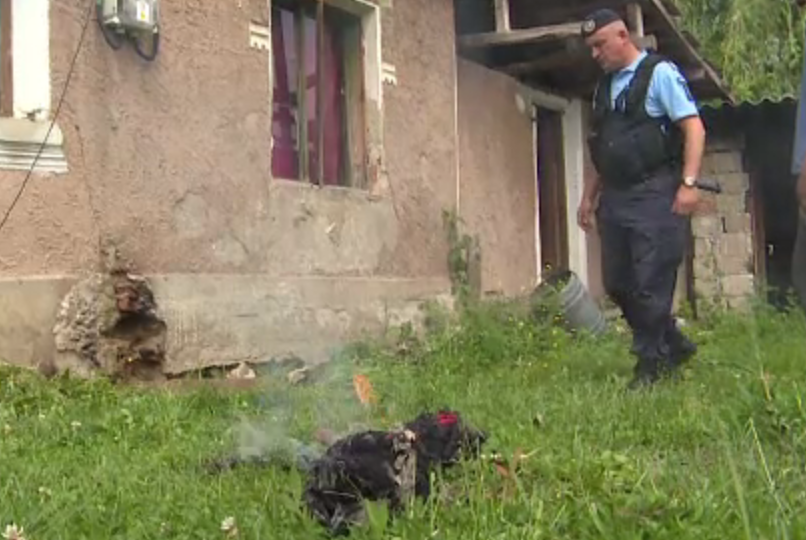 Un barbat din Gorj a chemat de urgenta pompierii sa scoata un sarpe ascuns in casa lui. Ce a urmat