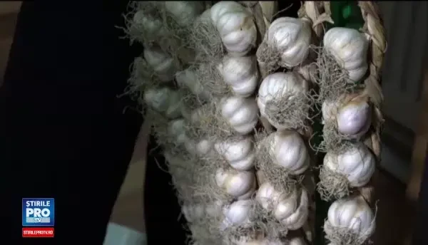 Usturoiul de Copalau. Producatorii lupta pentru recunoasterea sa, in timp ce hipermarketurile sunt pline de usturoi din China