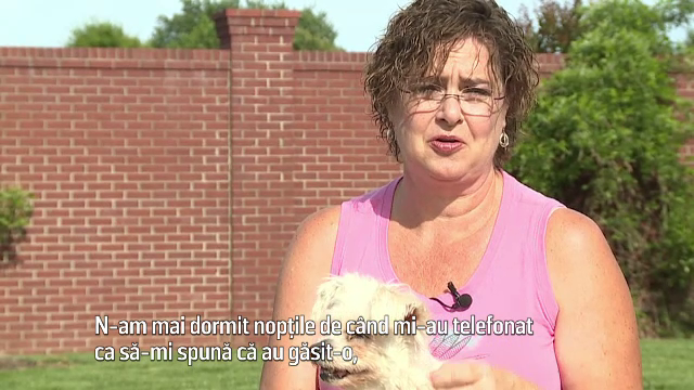 O catelusa din SUA s-a intors la stapana ei dupa doi ani si jumatate de la disparitie. Unde a fost gasita