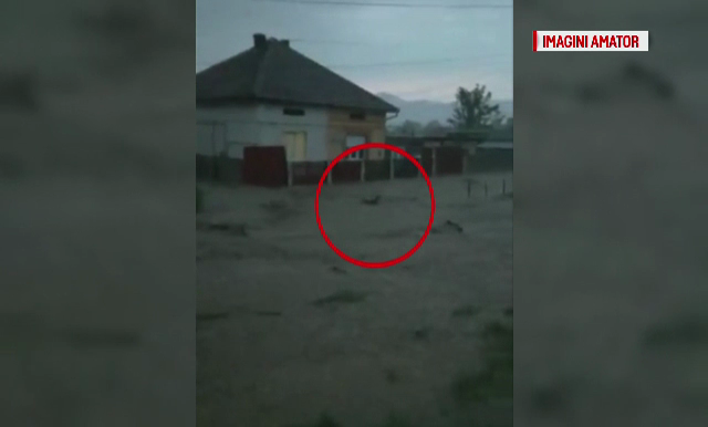 Furtuna a facut prapad in Caras-Severin. 80 de gospodarii au fost inundate, o femeie a ramas captiva in casa