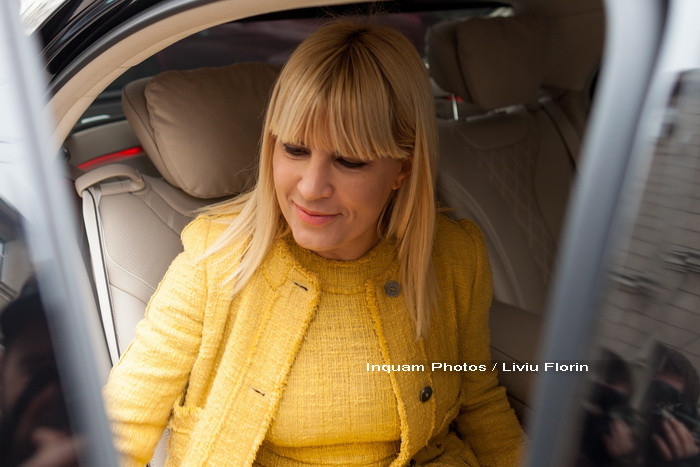 Elena Udrea este însărcinată cu gemeni