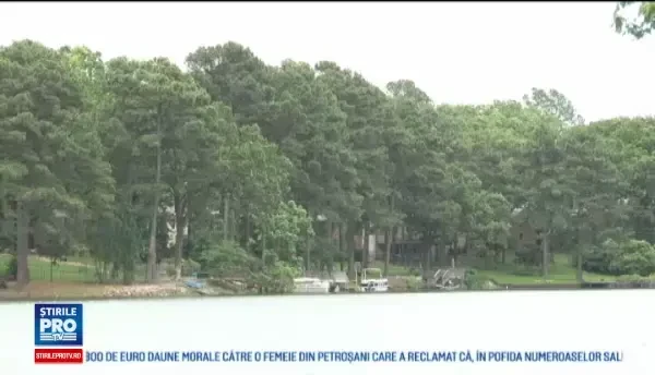 Au umplut golul lasat de sotul meu. Motivul pentru care autoritatile doresc sa ia lebedele ingrijite de o americanca