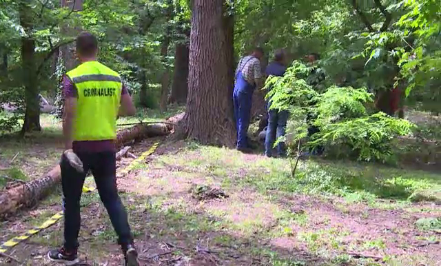 Tanar mort la un pas de operele lui Brancusi. Ce s-a intamplat in Parcul Central din Targu-Jiu