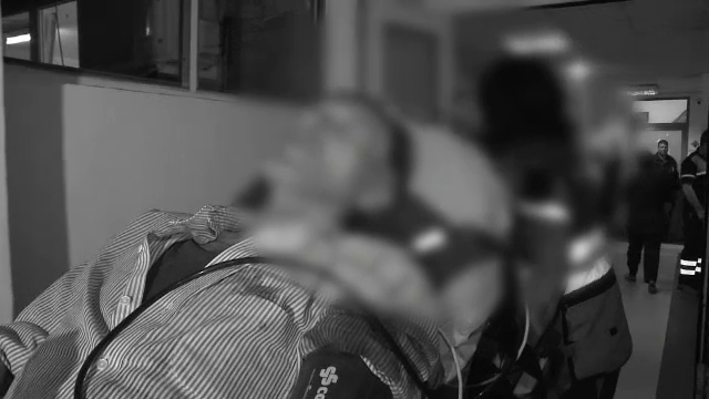 Doi barbati din Buzau, de 35 si 60 de ani, au fost atacati de o ursoaica pe un drum forestier. Primul prezinta rani grave