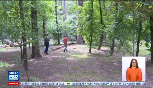 Tanar mort la un pas de operele lui Brancusi. Ce s-a intamplat in Parcul Central din Targu-Jiu