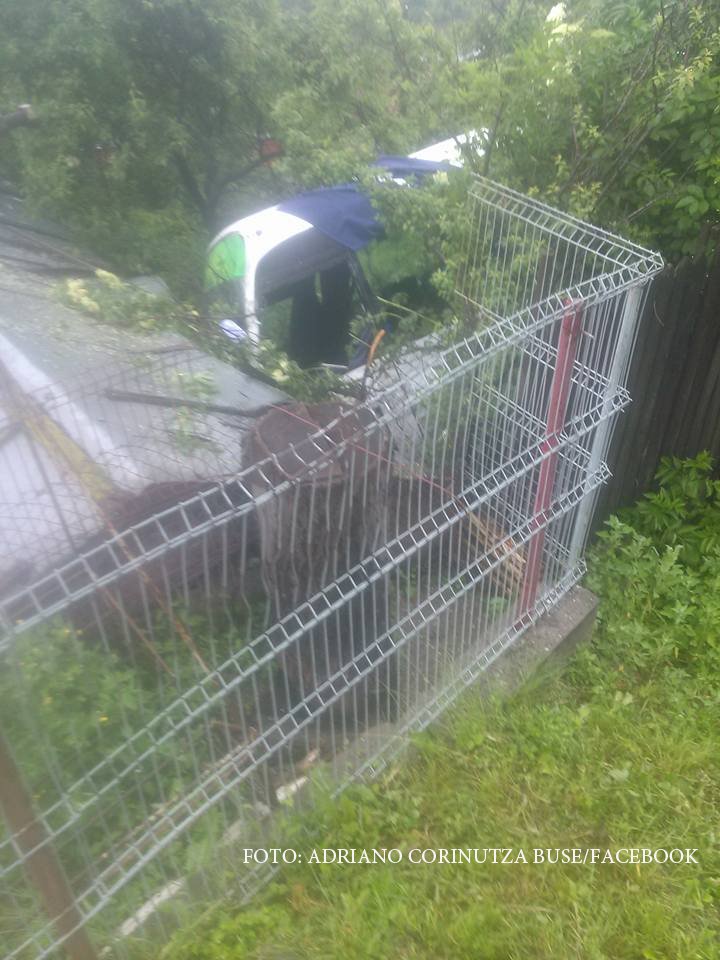 accident Bujoreni