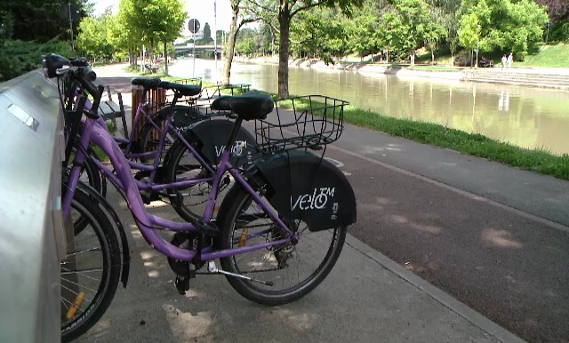 Bicicleta inchiriata cu cardul de calatorie, cel mai eficient mijloc de transport in Timisoara. Cum au reusit autoritatile