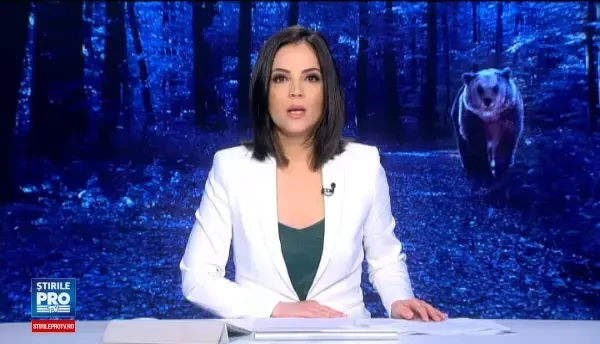 Un urs a aparut de doua ori intr-o saptamana in centrul Brasovului. De ce nu reusesc autoritatile sa il opreasca