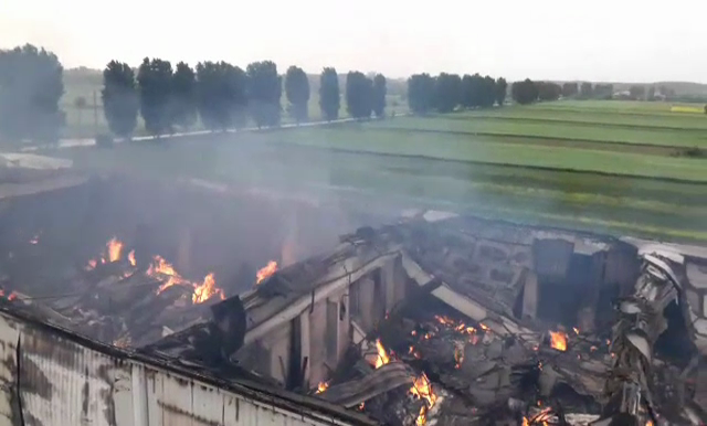 Hala de arhivare din Ilfov, distrusa de un incendiu, asigurata pentru 500.000 de euro. "Toti clientii vor fi despagubiti"