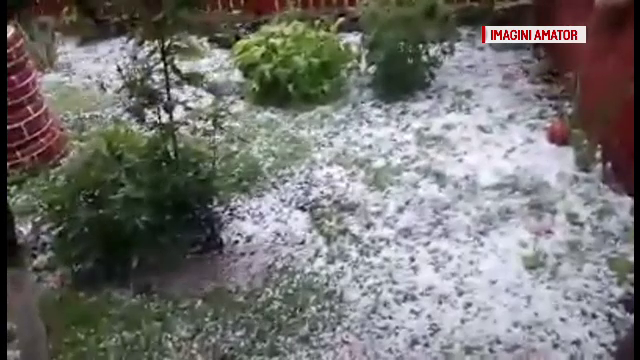 Ploaia cu gheata care a cazut in mai multe zone din Botosani a facut prapad si a distrus aproape total terenurile agricole