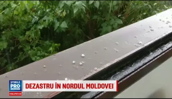 Ploaia cu gheata care a cazut in mai multe zone din Botosani a facut prapad si a distrus aproape total terenurile agricole