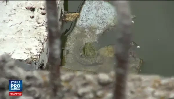 Ruine in chip de scoli pentru copiii de la sate. Ce lucrari s-au facut la o institutie din Bacau, dupa 10 ani de santier