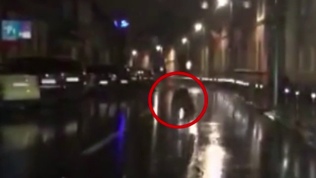 Ursul filmat saptamana trecuta alergand prin centrul Brasovului, capturat si dus in padure, departe de civilizatie