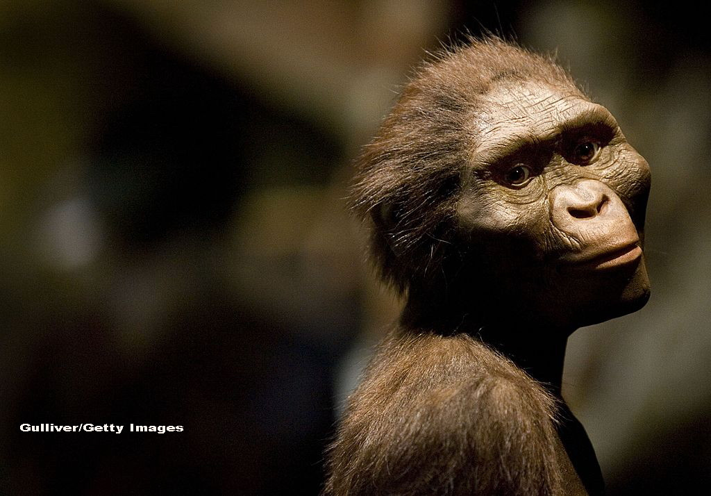 The Independent: Oamenii de stiinta au descoperit ceva care ar putea schimba tot ce stim despre originile omului