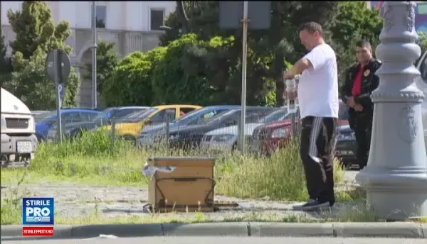 Masina parcata in fata sediului MAI, atacata de mii de albine. Un apicultor a reusit sa salveze situatia