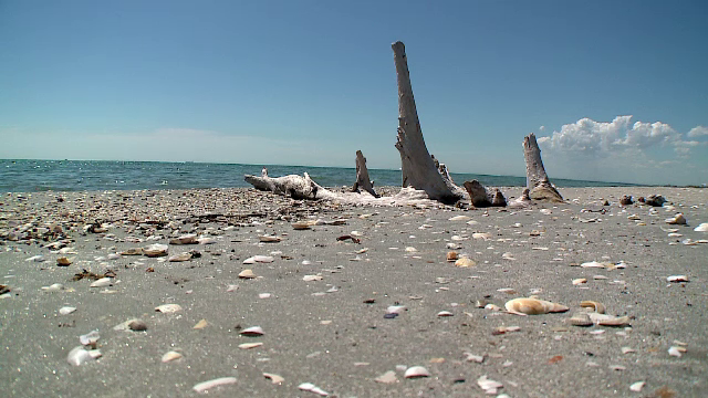 Autoritatile de la Vadu s-au "pregatit" sa ii intampine pe turisti cu taxe, amenzi mari si fara locuri de parcare
