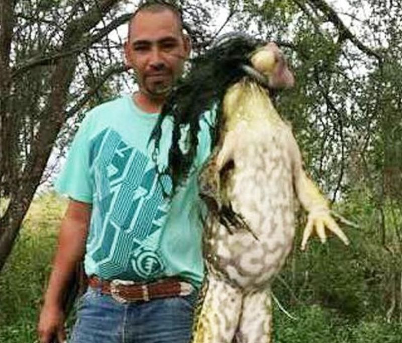 Un american se mandreste cu faptul ca a prins o broasca de dimensiunea unui caine. Adevarul din spatele fotografiilor