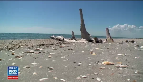 Autoritatile de la Vadu s-au pregatit sa ii intampine pe turisti cu taxe, amenzi mari si fara locuri de parcare