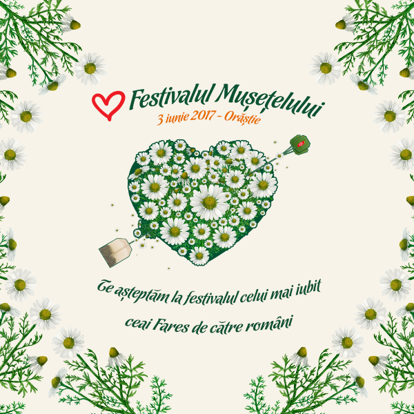 (P) Iubeste-l si sarbatoreste-l: vino la festivalul celui mai iubit ceai Fares de catre romani! Festivalul Musetelului