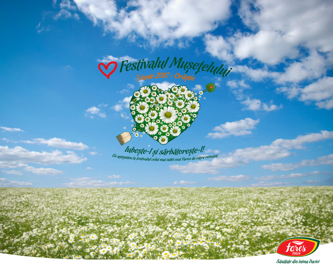 Festivalul Musetelului