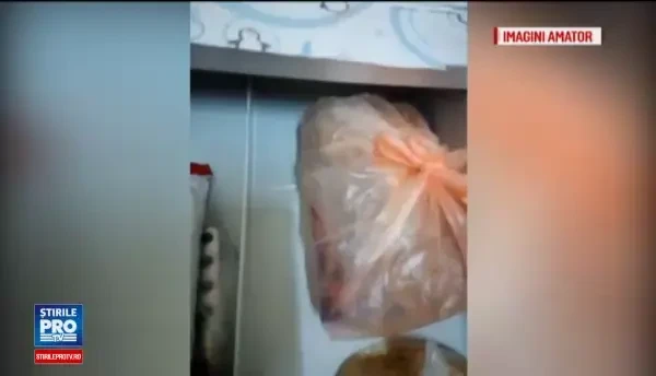 O femeie a filmat cum, la Spitalul Judetean din Arad, gandacii sunt internati alaturi de pacienti. Reactia conducerii