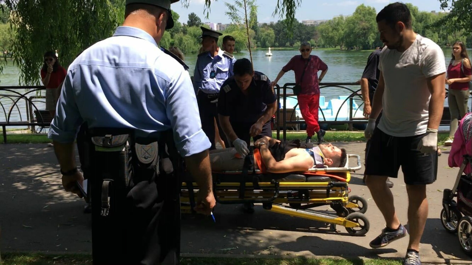 Barbat ranit grav de o creanga rupta, in parcul IOR. Autoritatile stiau ca sunt probleme cu copacii necuratati