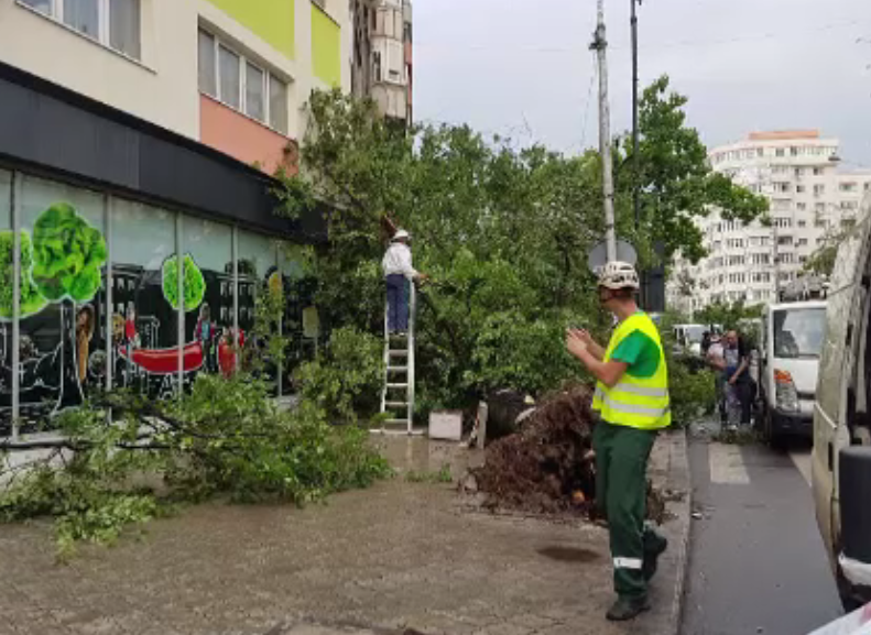 Ploile torentiale au afectat mai multe judete din tara, lasand pagube insemnate in urma lor. "N-am putut sa ies de frica"