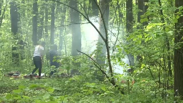 Teama ca vor fi amendati sau taxati i-a facut pe romani se reduca numarul gratarelor. Masurile luate de autoritati