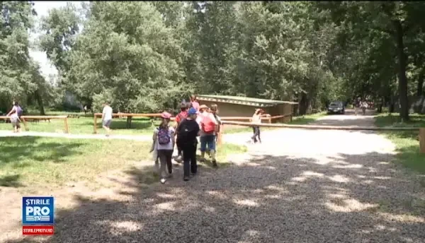 Teama ca vor fi amendati sau taxati i-a facut pe romani se reduca numarul gratarelor. Masurile luate de autoritati