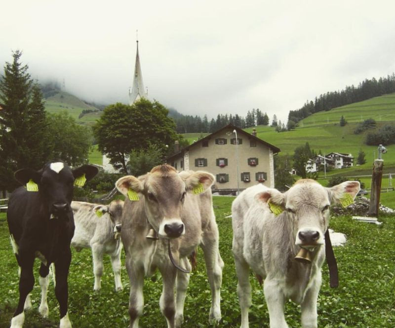 Statiunea unde este interzisa fotografierea peisajelor. "Ar putea contribui la nefericirea celor care nu au fost aici"