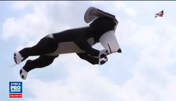 Cel mai mare festival de zmeie din Europa de Est este in Romania. Cerul Timisoarei, colorat de sute de exemplare