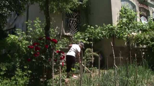 Romanii care si-au facut in fata blocului mici livezi sau gradini de zarzavaturi. "Am pus ceapa, fire de usturoi, rosii"