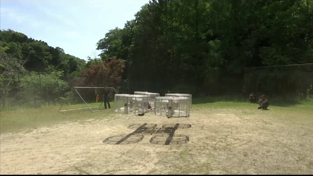 Transportul viitorului elibereaza soselele si muta traficul in aer si pe apa. Din ce materiale sunt construite noile vehicule