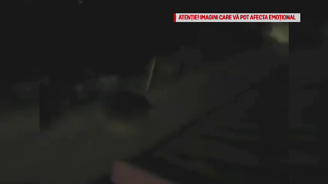 Un urs a inspaimantat o comunitate din Brasov, dupa ce a devorat o capra. Masurile luate de autoritati