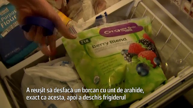 fructe_padure