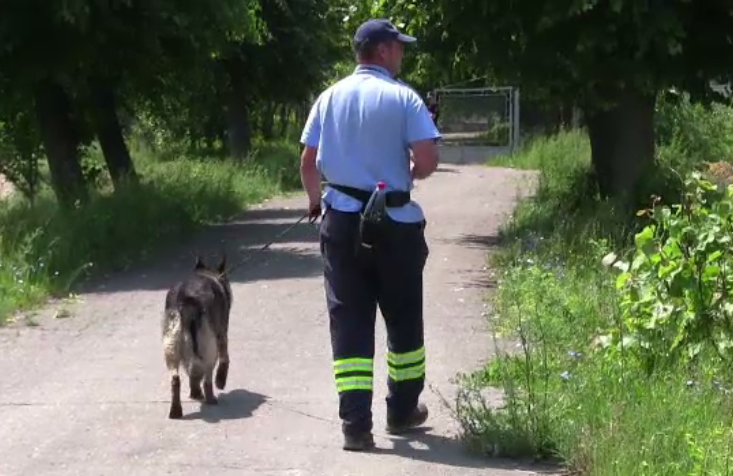 Împrejurările bizare în care a dispărut o fetiță de 2 ani, din Satu Mare. Acțiune amplă a MAI