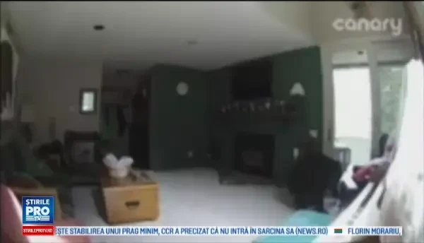 Un urs a intrat prin efractie in casa unei femei din SUA si a inceput sa cante la pian. Imaginile surprinse de camere