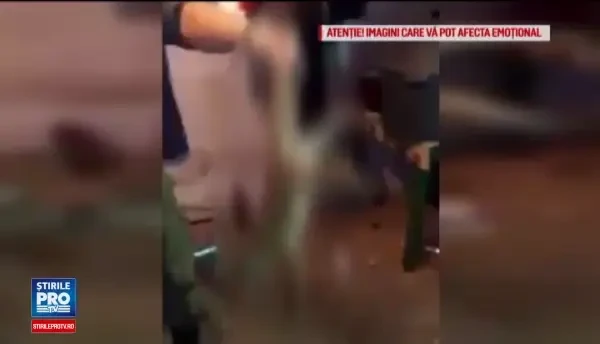 Un tanar care chinuia un pui de vulpe s-a filmat si a postat imaginile pe internet. Cat ar putea sta la inchisoare