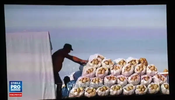 TIFF 2017. Paine, pasta de jumari si realitatea virtuala, surprizele serii. Cinefilii s-au mutat in parc