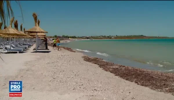 Lipsa toaletelor publice de pe litoral, o afacere extrem de profitabila. Suma uriasa castigata zilnic de proprietarul unui WC