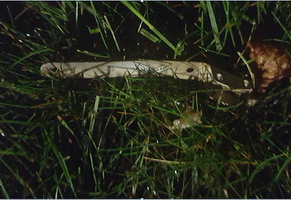 Bomba artizanala, aruncata in curtea ambasadei SUA din Kiev. Politia ucraineana vorbeste de un act terorist. VIDEO