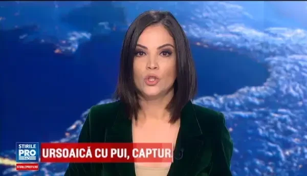 Politistii au salvat puii de vulpe, schingiuiti de un barbat din Mures. Ce risca acum barbatul pentru fapta sa