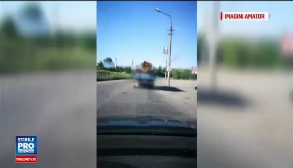 A semnalat la 112 doua transporturi suspecte de lemn, iar cand au venit politistii a avut o surpriza. Ce i s-a intamplat