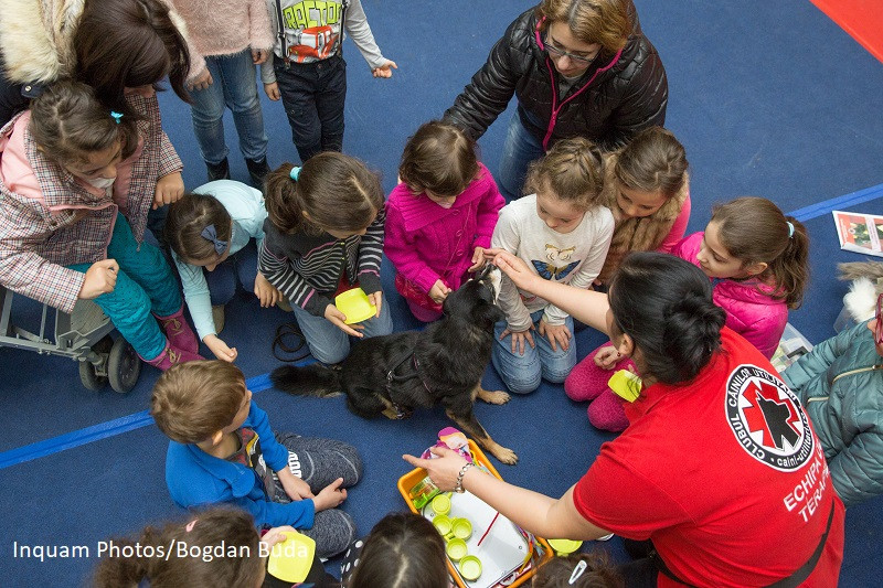 Terapia prin joaca, modalitatea prin care cainii sunt folositi pentru a ajuta copiii sa interactioneze cu celelalte persoane