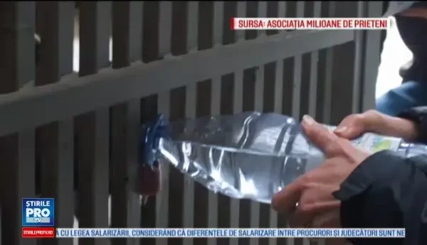 Ursoaica din Prahova si puii ei au ajuns in rezervatia Zarnesti. Animalele intrasera in mai multe gospodarii